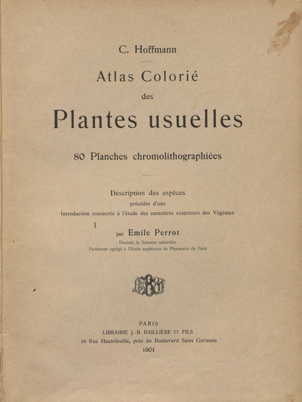 Atlas (scientific)